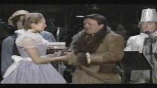 Nathan Lane As The Cowardly Lion Sings &#39;If I Only Had A Nerve&#39;
