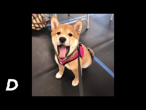 (FREE) Gunna x Offset x Wheezy Type Beat 2019 - "Hold Up" | @yungdzaa