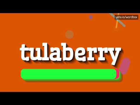 TULABERRY - HOW TO PRONOUNCE IT!?