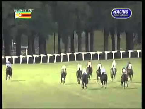 2013.02.24 Zimbabwe Guineas - Approval Rating