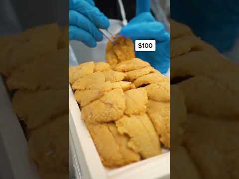 ウニが採れるまで #shorts (How sea urchins are harvested #shorts)