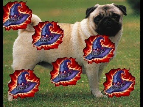 morde makes mad money maybe bonks bad bitches