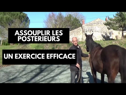 COMMENT ASSOUPLIR LES POSTÉRIEURS DES CHEVAUX : un exercice simple et efficace