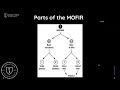 MOFIR for the Market with Jerry Wells