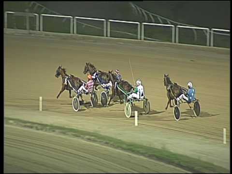 Trotto 30/07/2016 - 3° prova di qualifica