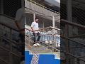 A Iconic Entry Of Captain Rohit Sharma At Wankhede Stadium