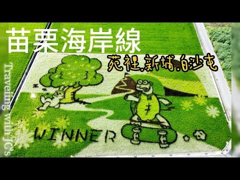 [Viagem ❁ Vlog curto] Litoral de Miaoli | Yuanxi, Xinpu, Baishatun