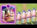 Royal Hogs Evolution