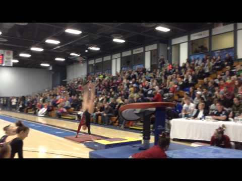 Sela Fadness Vault 9 025 @UW Stout 2 6 15