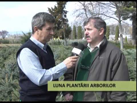 Realitati si Perspective 30 03 2014 Luna plantarii arborilor