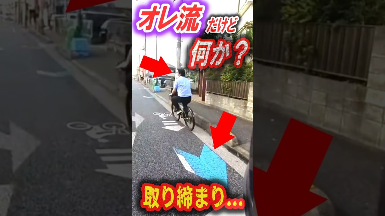 【無法地帯】違反のフルコース！車を敵に回すチャリの呆れた暴走劇がヤバすぎるｗ