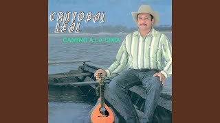 Video Accidente del Amor de Cristóbal Leal 