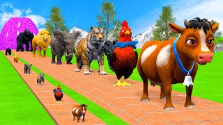 Download lagu Long Slide Game With Cow Elephant Gorilla Hippopotamus Tiger 3d Animal Game Funny 3d Animals mp3 Download lagu Long Slide Game With Cow Elephant Gorilla Hippopotamus Tiger 3d Animal Game Funny 3d Animals mp3