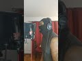 Ryze Hendricks Classical Gangsta Snippet
