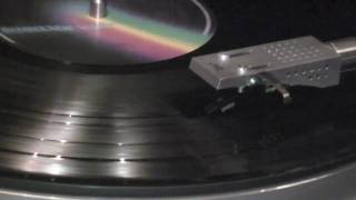 Budgie Rolling Home Again