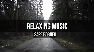 Download lagu Relaxing Music -Sape Borneo (Free No Copyright Music) mp3
