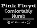 Pink Floyd • Comfortably Numb (CC) [Karaoke Instrumental Lyrics]