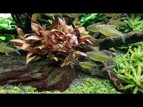 Watch Video on YouTube