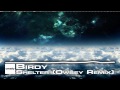 Birdy - Shelter (Owsey Remix) [FREE] 