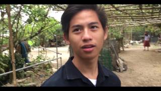 Death of a Salesman CalSci