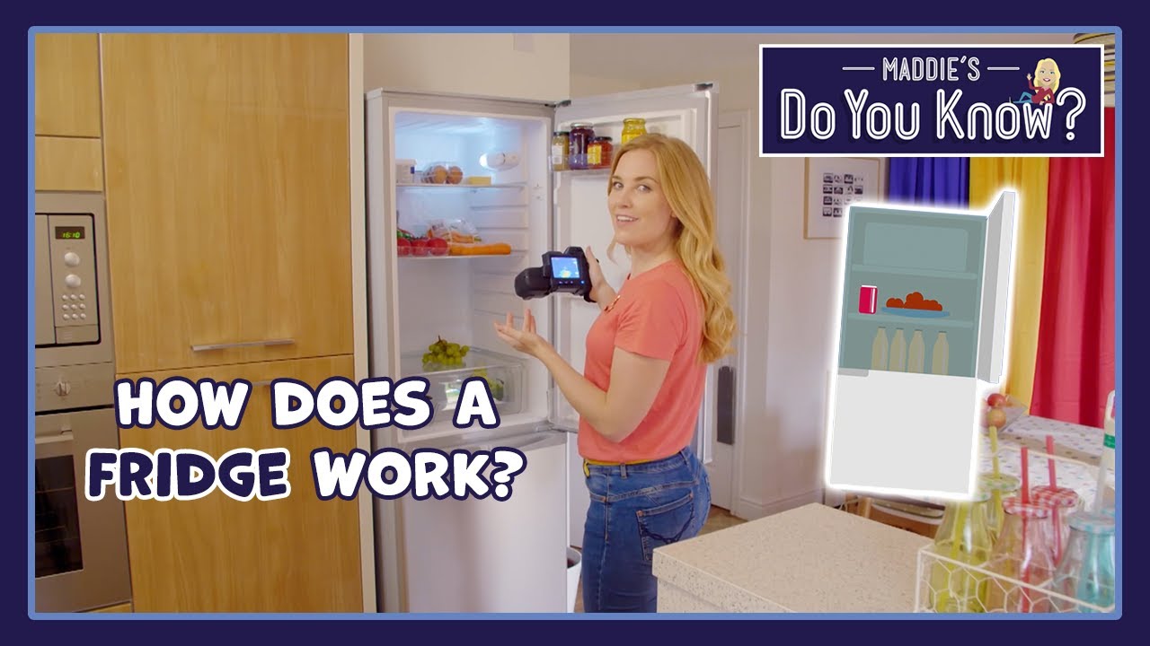How does a Fridge work? ❄️ Maddie's Do You Know 👩