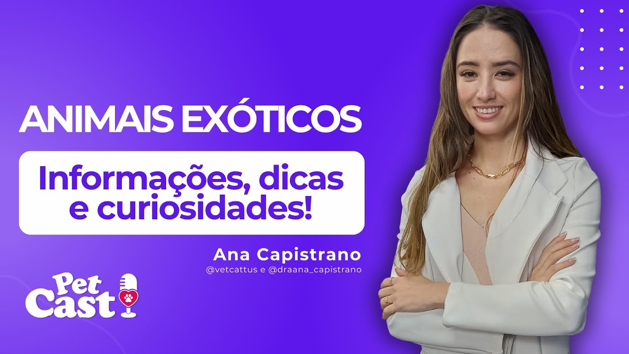 ANIMAIS EXÓTICOS: INFORMAÇÕES, DICAS e CURIOSIDADES Episódio #16