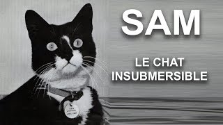 SAM LE CHAT INSUBMERSIBLE