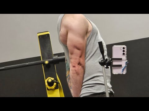 Day 16 Of Fall Cut  Arm Day
