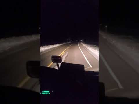 BISON RUNNING DOWN THE HIGHWAY AT NIGHT IN WYOMING