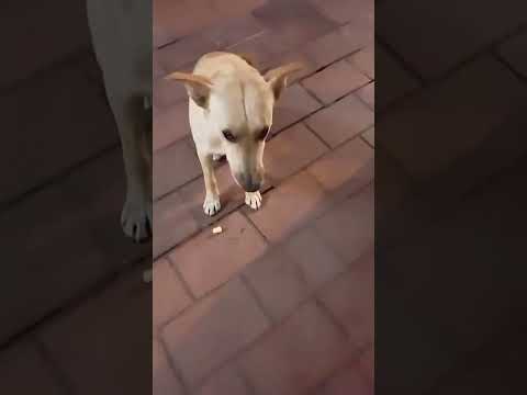 Le di unos quesitos y reaccionó así😥 Villaguay, Entre Ríos