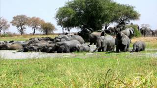 Cameroon beautiful country