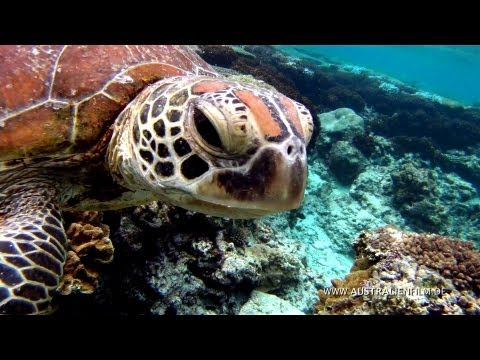 Australien in 100 Tagen - Trailer (Deutsch | German) | HD