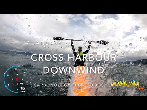 Surf ski cross harbour downwind - Wellington, New Zealand