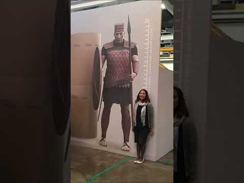 A Bíblia na vida real #biblia #shorts #incrível #curiosidades #jesus #fatos