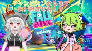 【Fall Guys】才気らいちゃんとコラボ！１位とるまで終われません！？