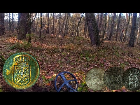 Wykopki episode 202 - This is why I love the forest