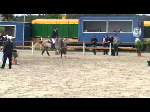 Wilhelm Winkeler Catoki-Come on