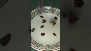 This is how dried cranberries looks like 🥰....#shorts #food #asmr #cranberries