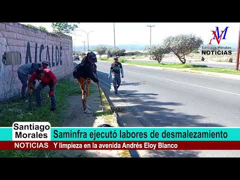 Saminfra ejecutó labores de desmalezamiento y limpieza en la avenida Andrés Eloy Blanco
