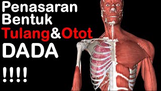Download lagu Curious about the shape of the chest bones and muscles !!!!!!! mp3