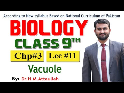 Vacuole  | New Syllabus Biology 9th Class |Chapter 03 | Lecture 11