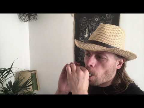 Harmonica - Sonny Terry & Tongue Block Exercise