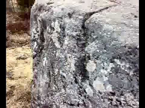 Kalli olla kuku lalla