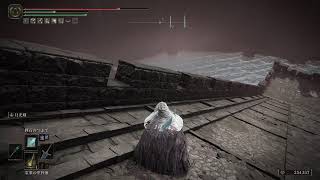 エルデンリングやる【ELDEN RING】