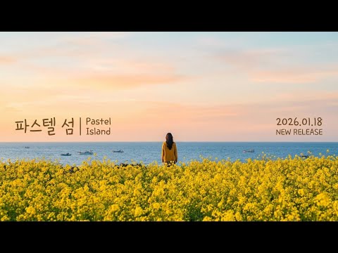 웨스 앤더슨 스타일 뮤직비디오