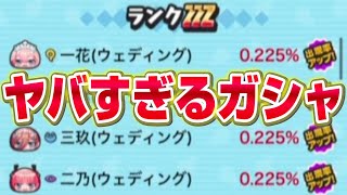 ガシャの確率が○○10連9000Yポイントとられて草『妖怪ウォッチぷにぷに』五等分の花嫁いつものエラー祭り！メンテナンス中
