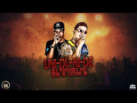 BLK PERNAMBUCANO FEAT. MC TODYNHO BH - UNI-DU-NI-DE ( REMIX BREGA FUNK )