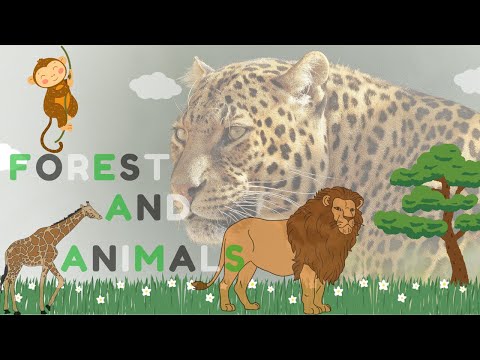 Wild Harmony: Animals of the Deep Forest🍃🌳🐄🦬🐆🦓🦁🐵