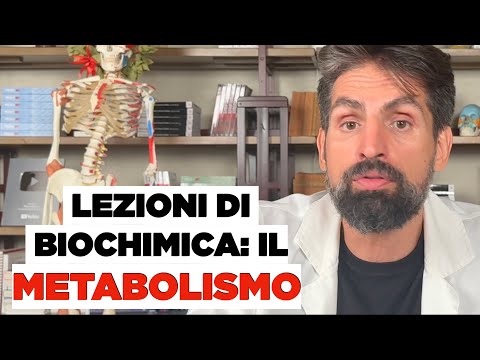 Cos'è il Metabolismo ed i processi metabolici