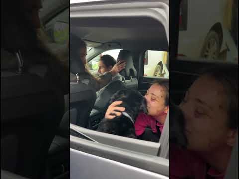 Rescatan sano y salvo a Boro, el perro desaparecido en el accidente de Adamuz